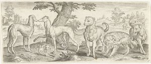 犬 動物（シリーズタイトル） 作： Abraham de Bruyn (possibly)