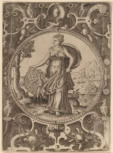ジュノ 作： Abraham de Bruyn