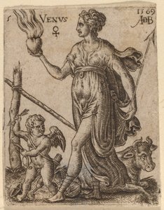 金星 作： Abraham de Bruyn