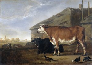 牛 作： Abraham van Calraet