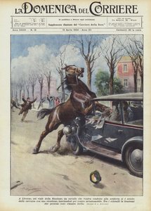 リボルノのスタジオーネ通りで、厩舎に運ばれた馬が別れた？