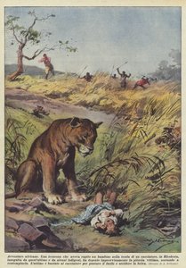 アフリカの冒険 作： Achille Beltrame