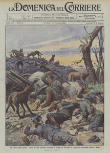 戦争の恐怖、空腹のオオカミの群れがアウグストフの戦場に侵入し、死者と負傷者を襲撃する
