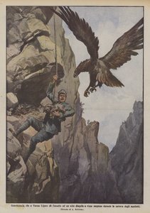 Varese Ligureでdaquileの巣を作って驚いたゲームキーパーは？