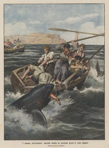 ダルマチアの海岸近くのサメに襲われたアドリア海の乙女のドラマ