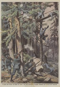 森の中での戦い、待ち伏せの足場の1つへの私たちの攻撃、手配？