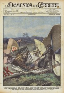 獣の空中横断 作： Achille Beltrame