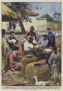 アヒルの予防接種 作： Achille Beltrame