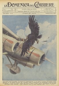 飛行機に対するハゲタカ 作： Achille Beltrame