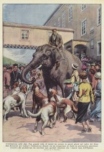 アルプスの象 作： Achille Beltrame