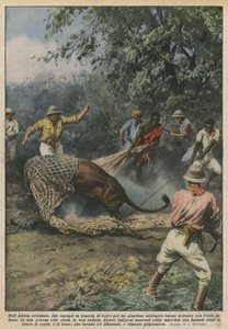 東アフリカでは、動物園の獣の道にいる2人のヨーロッパ人が惹かれましたか？ 作： Achille Beltrame