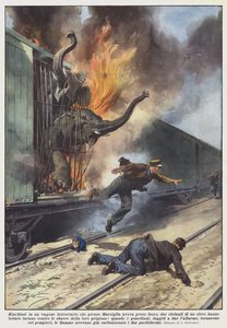 マルセイユの近くで火事を起こした鉄道車両に閉じ込められたゾウ？