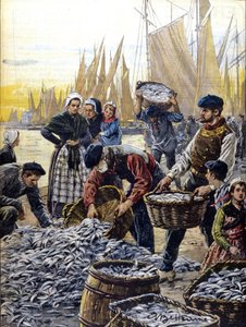 1903年、ブルターニュ地方のイワシ漁 イラスト：Achille Beltrame 作： Achille Beltrame