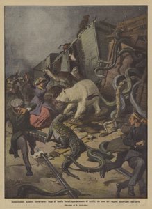 センセーショナルなレールバトル、野獣、特に爬虫類の飛行？ 作： Achille Beltrame
