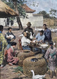 東京皇居外苑。アヒルをコレラから守るためのワクチン接種と獣医師の支援。Achille Beltrameのイラスト（1928年）。 作： Achille Beltrame