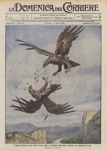 空の悲劇、ヴァルネリーナ（マチェラータ）の2つのワシ間の激しい戦いは、 作： Achille Beltrame