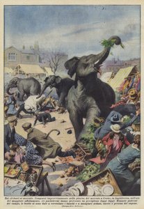 市場で3頭の象 作： Achille Beltrame