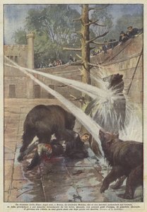 ベルンのクマの穴のドラマ
