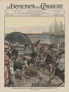 マッサのビーチに打ち上げられた巨大なクジラ、それを地面に引きずるのに多大な努力 作： Achille Beltrame