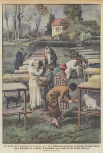 他とは違う病院 作： Achille Beltrame