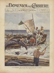 サルデーニャ島のトンナラディソラピアナでの異常なマグロ釣り