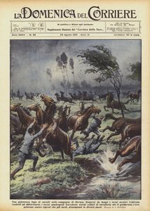 ノバラの田舎の美しい馬の脱出