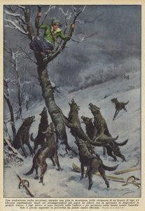 山への旅行中に、セルビアの学生は群れの近くに気づきましたか？ 作： Achille Beltrame