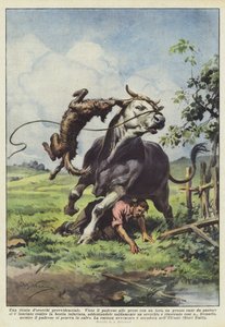 プロビデンシャルティレード 作： Achille Beltrame