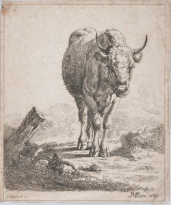 正面から見た牛、1805年。 作： Adam von Bartsch