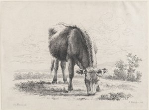 牛の放牧、1805年、1805年。 作： Adam von Bartsch