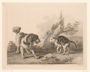 向かい合って戦う体勢の犬と猫 オランダの巨匠による絵画後の動物（シリーズタイトル） Différens animaux gravés d