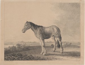 左の横顔で野原に立つ馬、1809年。 作： Adam von Bartsch