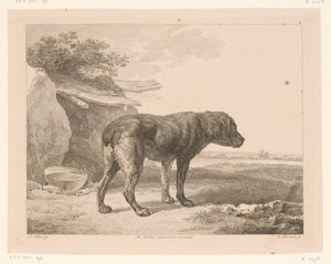 風景の中で立っている犬 オランダの巨匠による絵画後の動物（シリーズタイトル） Différens animaux gravés d
