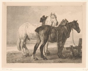 川の風景の中の 2 頭の馬 オランダの巨匠による絵画後の動物（シリーズタイトル） Différens animaux gravés d