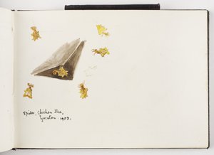 インクやグラファイトで描いた絵と水彩画のスケッチブック 作： Adela Breton
