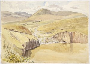 メキシコ、グアナファト、サンティアゴ・デル・バジェ近くのアルベリア（水彩画 作： Adela Breton