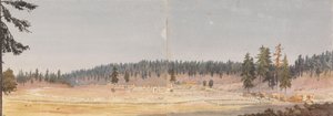 カリフォルニア州ネバダシティ近郊のグラスバレー、1851年9月18日18th 1851