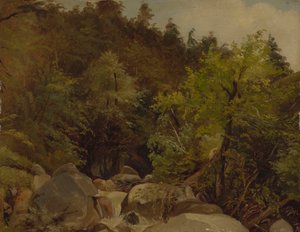 オールシュタット近くの滝 作： Adolf Heinrich Lier