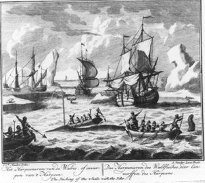  作： Adolf van der Laan