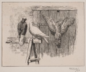 ハト 作： Johan Adolph Kittendorff