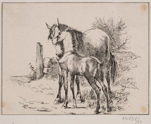 馬と子馬