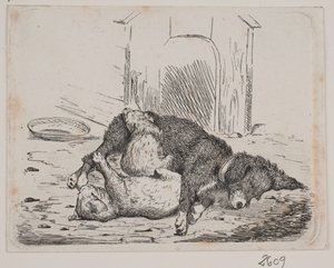 子犬とリード犬