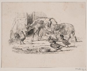 子牛 作： Johan Adolph Kittendorff