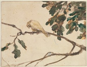 オークの木の枝にカナリア（紙にトイレ）