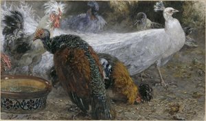 白いクジャクと七面鳥の雌、そしてニワトリたち。『子どものアルバム』より 作： Adolph Menzel