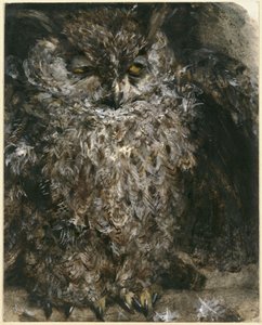  作： Adolph Menzel