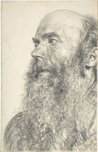 ひげを生やした男の頭部 作： Adolph Menzel