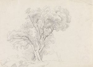  作： Adolph Tidemand