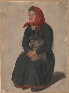 Telemarkの農民の女性 作： Adolph Tidemand