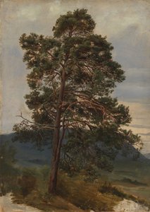  作： Adolph Tidemand